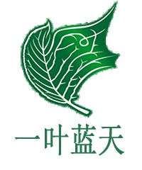 北京一叶蓝天科技有限公司