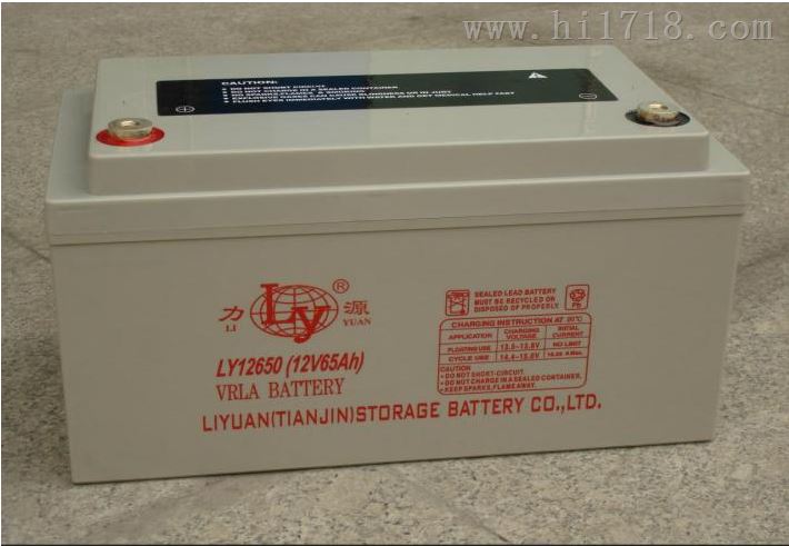 LY1255力源UPS蓄电池12v55ah厂家授权经销