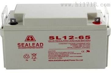 SL12-55SEALEAD蓄电池12V55AH西力达总代理