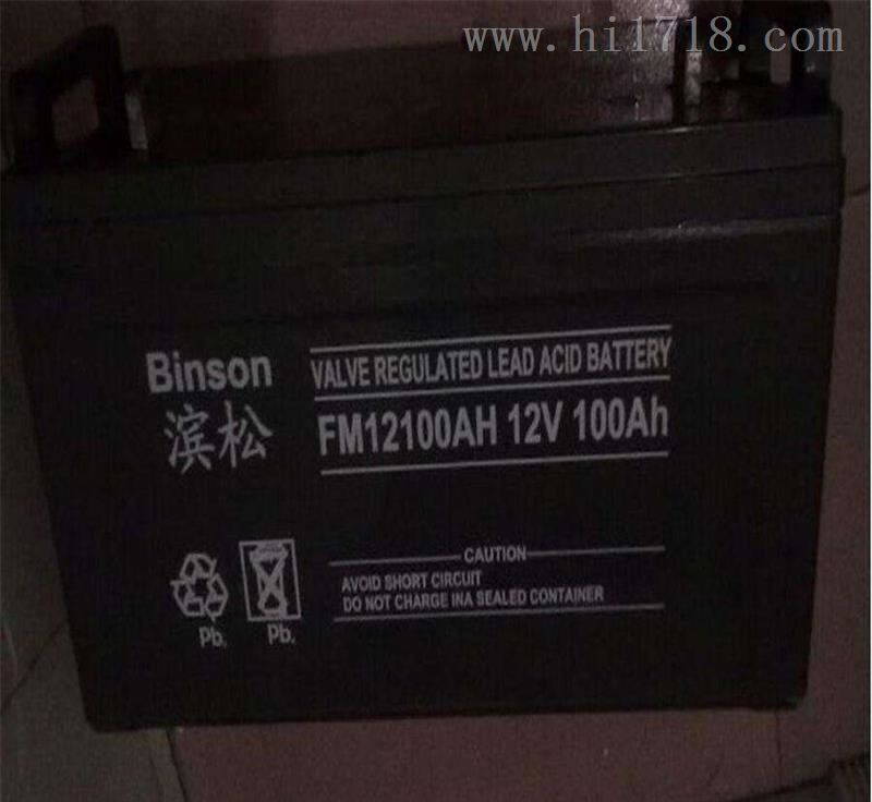 FM38-12/12V38AH滨松Binson蓄电池销售商