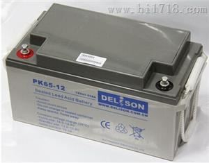 德力森DELiSON蓄电池PK55-12/12v55ah销售