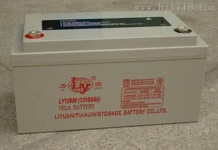 LY1233力源12V33AH蓄电池UPS后备电源