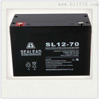 SEALEAD西力达SL12-100蓄电池12V100AH 