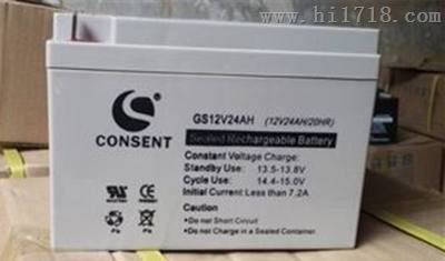CONSENT光盛蓄电池GS12V24AH产品优点