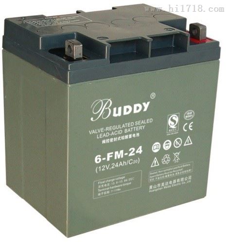 BUDDY蓄电池6-GFM-40宝迪12V40AH质量保证