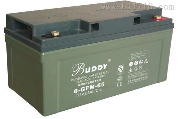 BUDDY蓄电池6-GFM-80宝迪12V80AH质量保证
