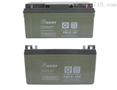 BUDDY蓄电池6-GFM-180宝迪12V180AH厂家