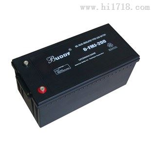 BUDDY蓄电池6-GFM-55宝迪12V55AH质量保证