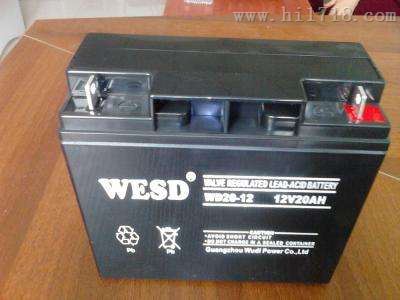 WD200-12/WESD蓄电池12V100AH代理商