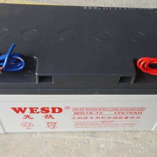 无敌WESD蓄电池WD100-12/12V100AH代理商
