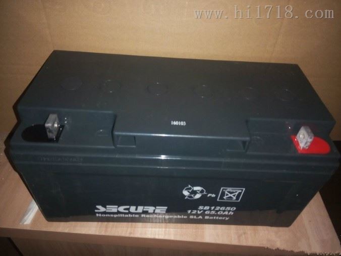 12V55AH安全SECURE蓄电池SB12550技术参数