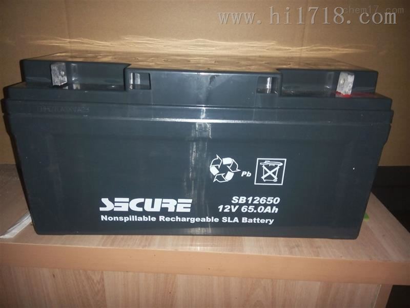 12V65AH安全SECURE蓄电池SB12650技术参数