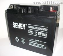 西力SEHEY蓄电池SH24-12/12V24AH假一赔十