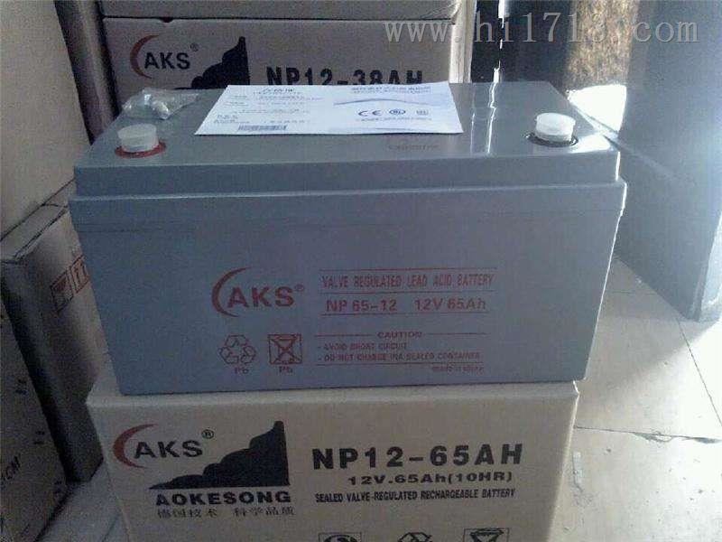 奥克松AKS蓄电池NP75-12-12V75AH型号齐全