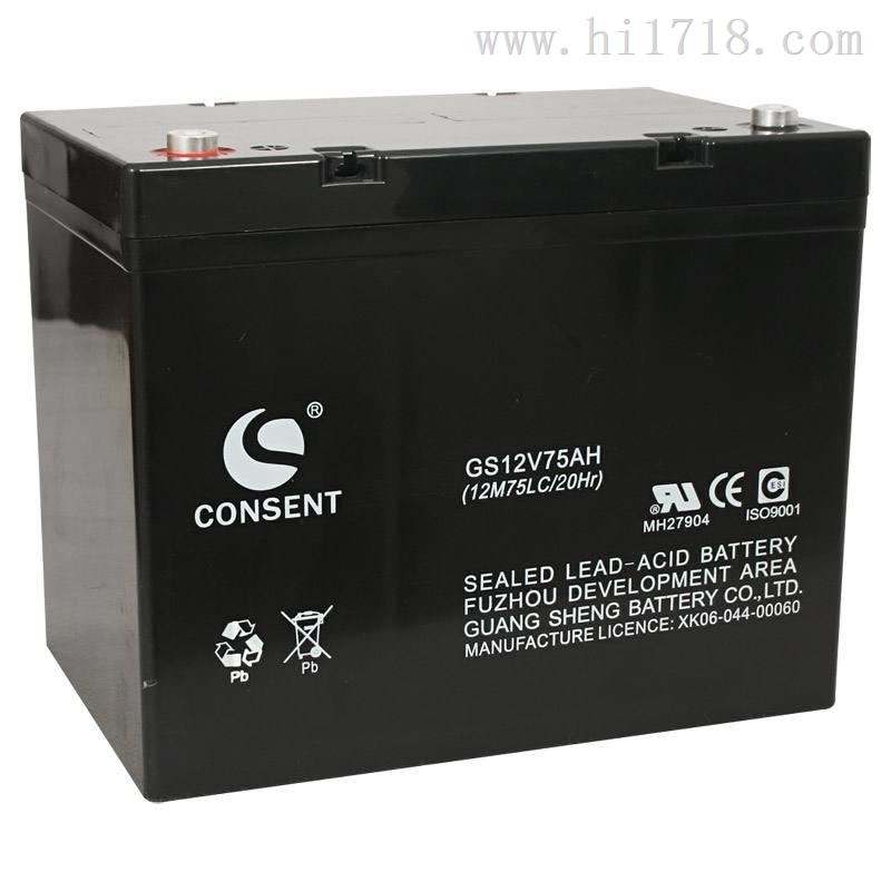 CONSENT蓄电池光盛GS12V80AH厂家直销