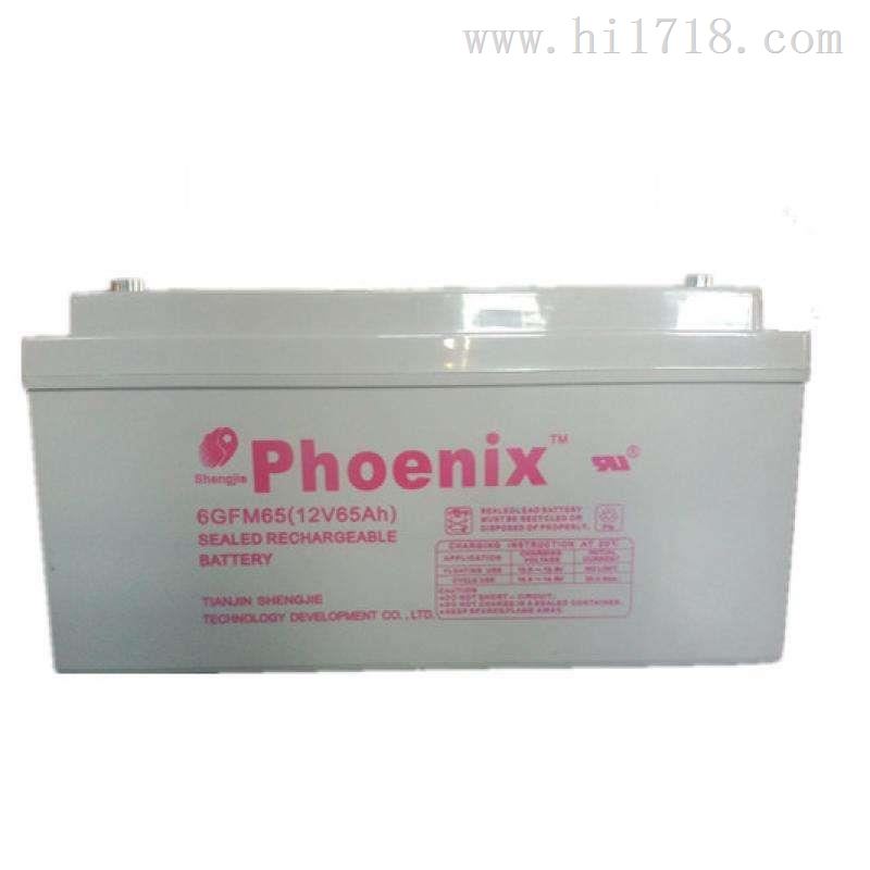 phoenix凤凰KB12500蓄电池12V50AH型号齐全