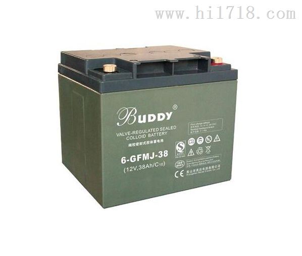 BUDDY宝迪蓄电池6-GFM-33/12V33AH特点特性
