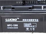 LUOKI洛奇MPC-1212蓄电池12V12AH代理商