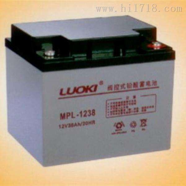 MPC-1224洛奇LUOKI蓄电池12V24AH经销商