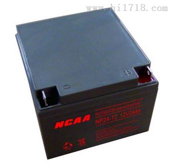 12v20ahNCAA蓄电池NP20-12型号参数