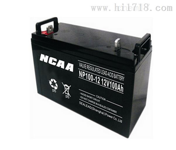12v120ahNCAA蓄电池NP120-12型号参数