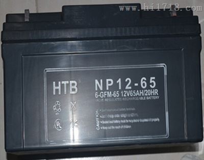 HTB蓄电池NP12-55/12V55AH渠道代理