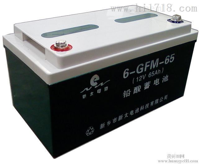 12V65AH新太蓄电池6-GFM-65特价销售