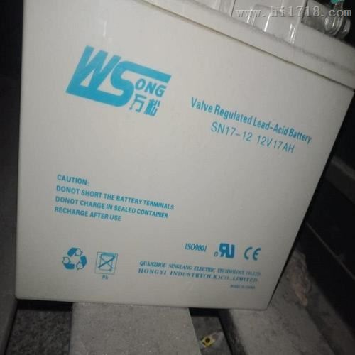 万松WSONG12V33AH蓄电池SN33-12厂家直销