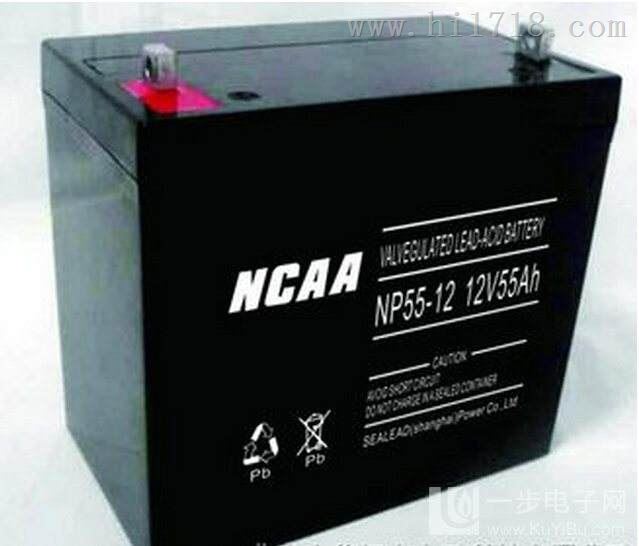 NCAA蓄电池12V70AH-NP70-12质量保证