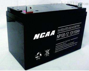 NCAA蓄电池12V24AH-NP24-12厂家直销