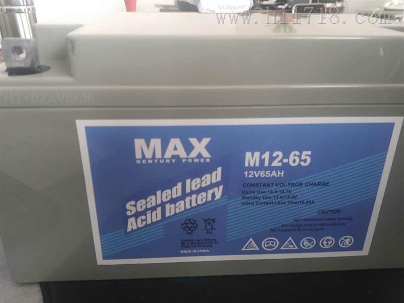 MAX蓄电池M12-100 12V100AH技术规格