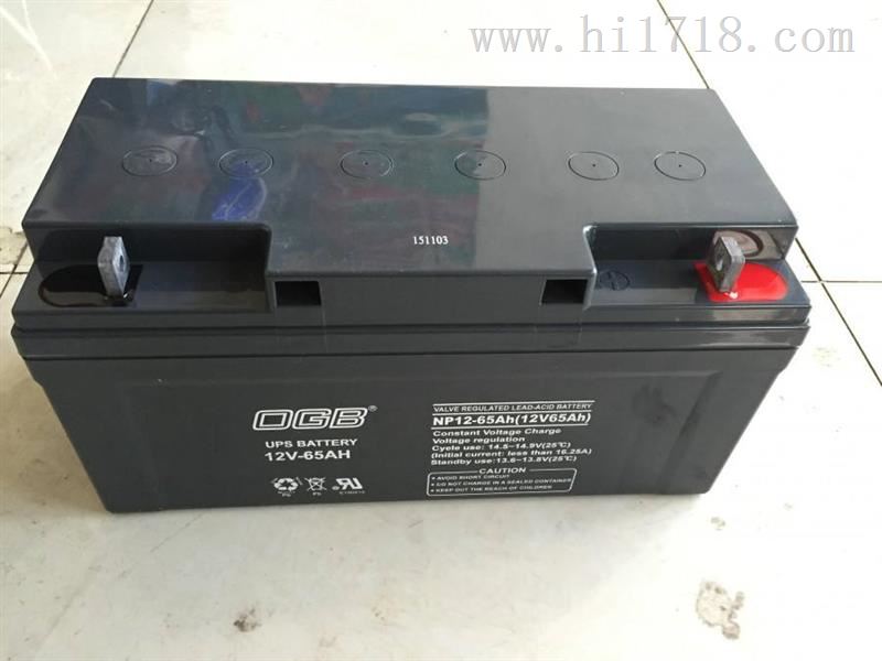 OGB蓄电池12V120AH代理商价格
