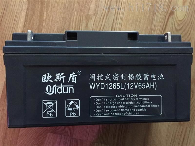 OSIDUN/欧斯盾蓄电池12V24AH经销商