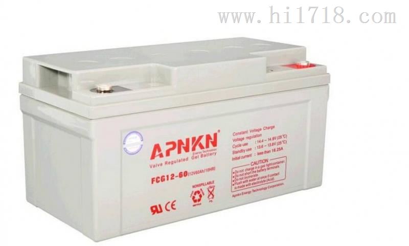 APNKN蓄电池F品克CG1240/12V40AH行货