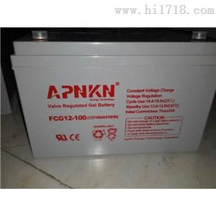品克APNKN蓄电池FCG12120/12V120AH经销商