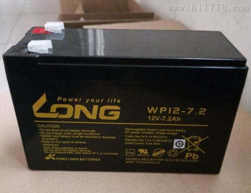 LONG蓄电池WP55-12N广隆12V55AH电力系统