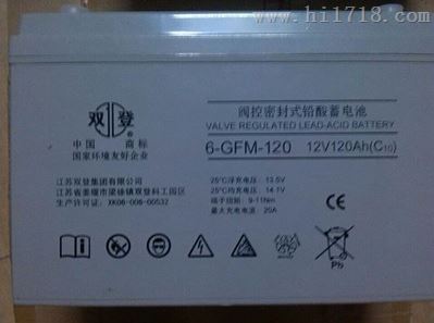 双登12V100AH蓄电池6-GFM-100后备电源专用