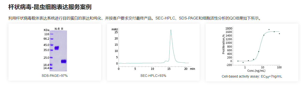 杆状病毒-昆虫细胞表达服务案例.png