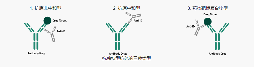 抗独特型抗体的三种类型.png