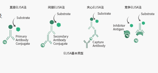 elisa基本类型.png