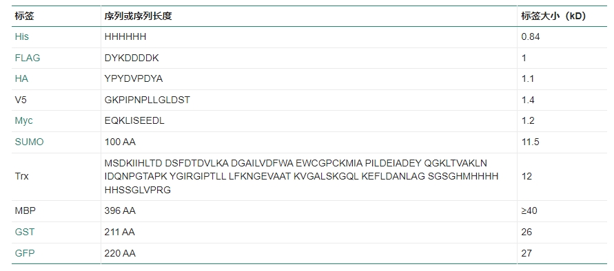 常用的蛋白标签图.png