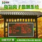 恒美负氧离子检测仪哪个好HM-FY12