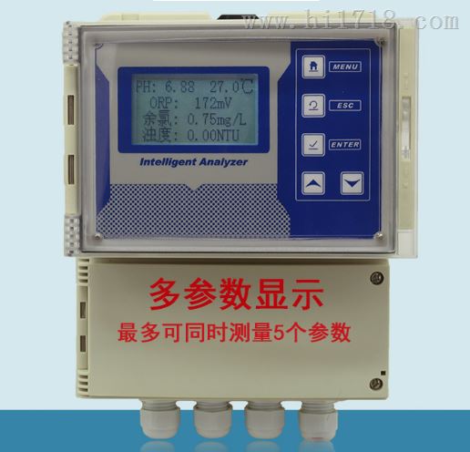 智能水质检测仪 在线溶氧仪 壁挂式