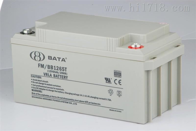 FM/BB1265鸿贝12V65AH-BABY型号齐全