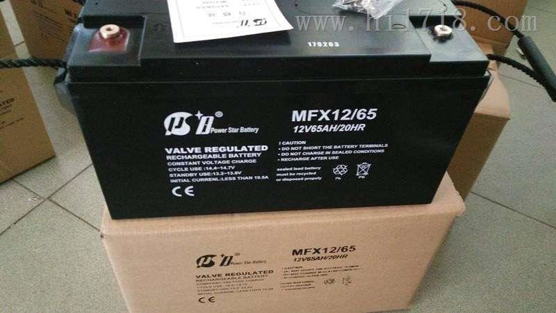 PSB蓄电池MFM-12/55派士博12V55AH特价销售