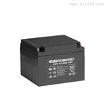 12v70Ah大力神蓄电池尺寸规格