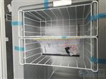 山东博科低温冷藏箱卧式-25℃ 226L