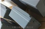 智能振动监控仪HZD-W/L-A02 50MV/MM/S