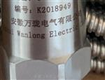 绕组温度计BWR;WTYK-04  