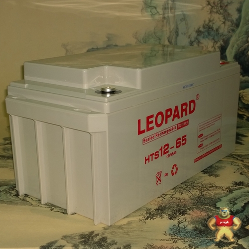 美洲豹LEOPARD蓄电池授权代理商